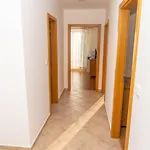 Tereza Apartment