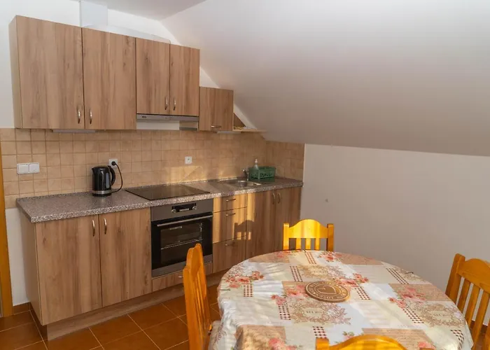 Tereza Apartamento Poděbrady