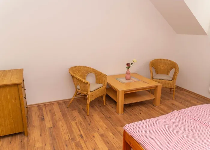 Apartment Tereza Podebrady